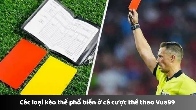 Các loại kèo thể phổ biến ở cá cược thể thao Vua99 